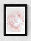 East End Prints Black Peony 05 wall art print - British product
