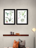 Cartissi Black Forest Floor Finds wall art prints - British product