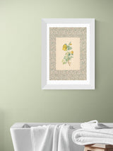 East End Prints White Charming Roses Wall Art Print by Oh Fine! Art