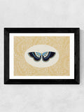 East End Prints Black Delicate Flutter Framed Art Print - British product