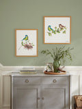 Laura Ashley Blue Tit wall art frame Large, UK version