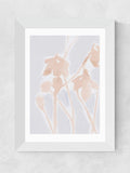 East End Prints floral wall art print by Cartissi - British product