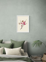 East End Prints White Flower and Butterflies Wall Art Print by Natural History Museum