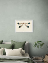 East End Prints White British Dragonfly Wall Art Print by Natural History Museum