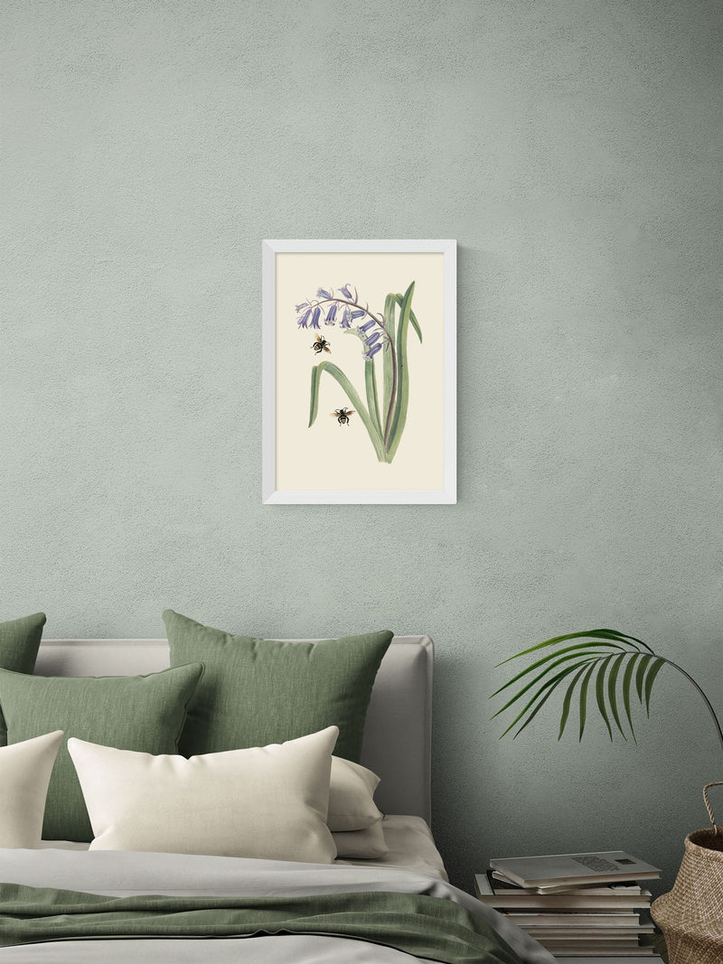 East End Prints White Bee and Wild Hyacinth Wall Art Print by Natural History Museum