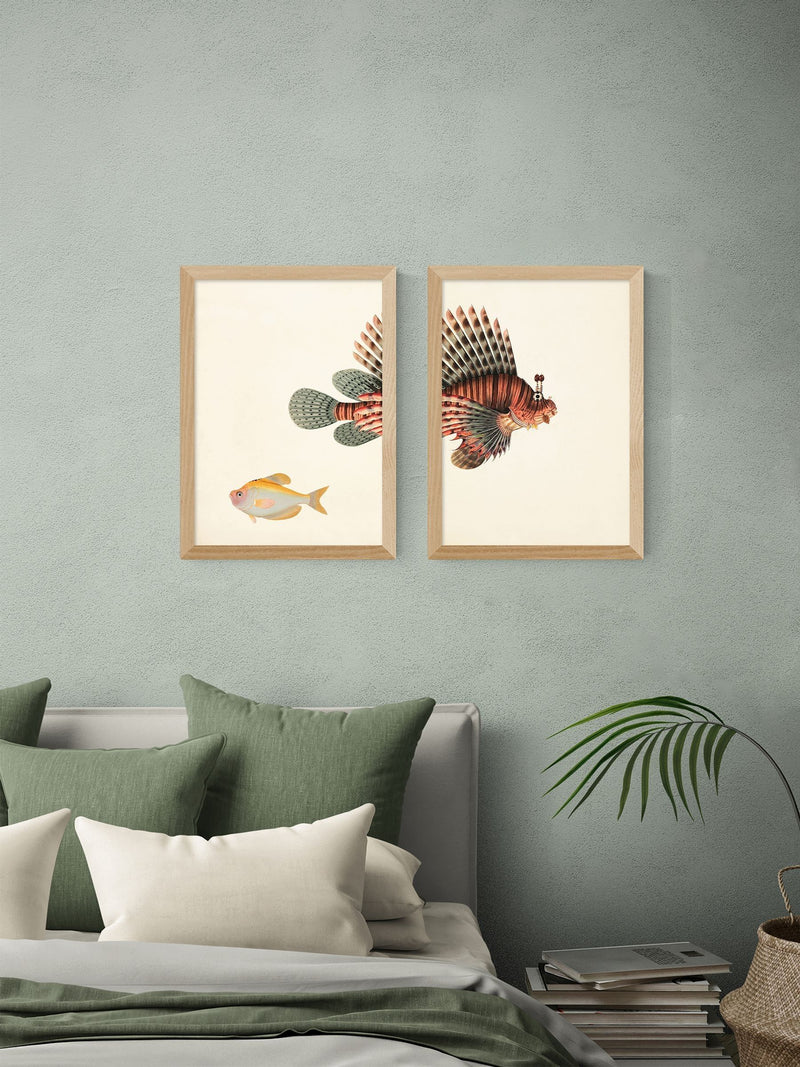 East End Prints Set of 2 Oak Fish Wall Art Prints by Natural History Museum
