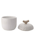 Country Living White Large Acorn Storage Jar