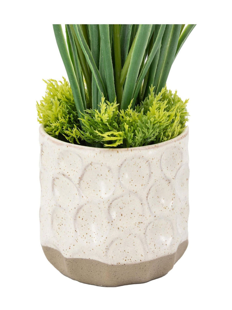 Gallery Home set of two white faux spring hydrangea in ceramic pots - British product