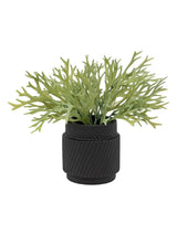 Gallery Home Green Faux Platycerium Ceramic Plant Pot 28cm