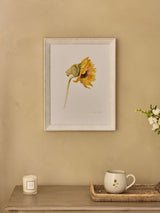 Sophie Allport Off White Sunflower Watercolour Print Wall Art 40cm x 30cm