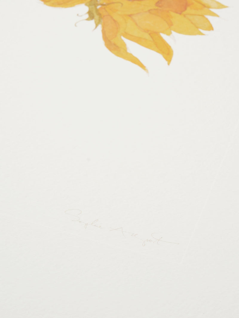 Sophie Allport off white sunflower watercolour print 40cm x 30cm (British brand)