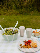 Bayside Mint Thurlestone Picnic Dinner Set 12 Piece