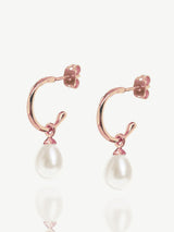 Ivory & Co Rose Gold Harrow Modern Pearl Hoop Earrings 2.7cm Drop