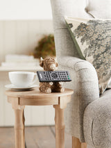 Brown Hamish the Highland Cow TV Remote Control Holder