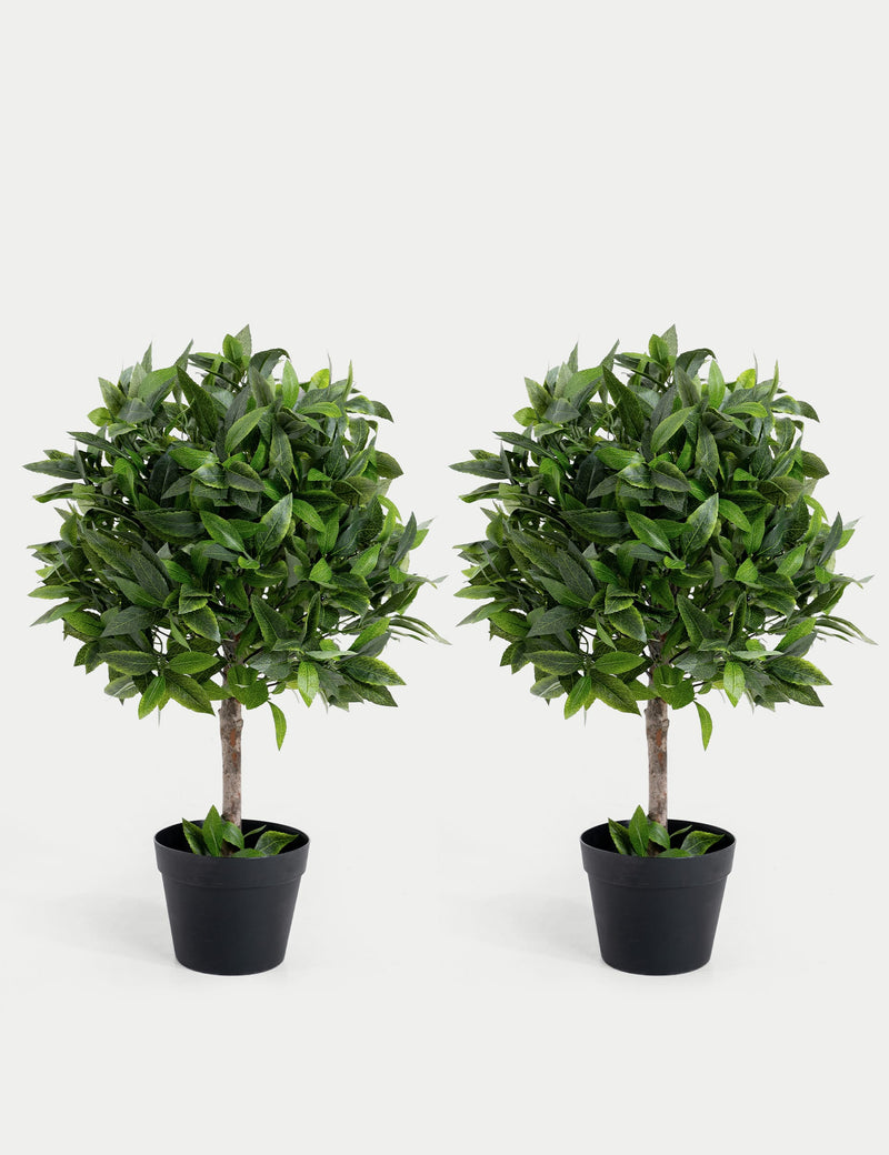Blooma set of 2 artificial bay trees 70cm - British product