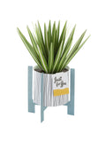 Hallmark Green Little Hello 3D Pop Up Spider Plant Card, UK version