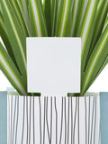 Hallmark Green Little Hello 3D Pop Up Spider Plant Card, UK version