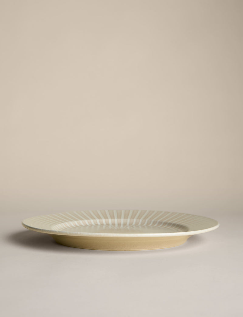 Reactive Stripe Dinner Plate