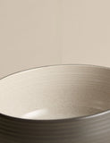 Michigan cereal bowls set of 4 (British brand)