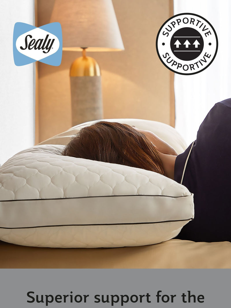 Sealy Side Sleeper 100% Cotton Pillow