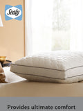 Sealy Side Sleeper 100% Cotton Pillow