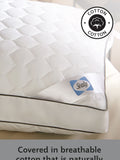 Sealy Side Sleeper 100% Cotton Pillow