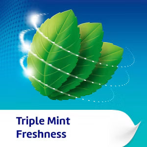 Poligrip Ultra denture fixative cream mint 40g, imported from the UK