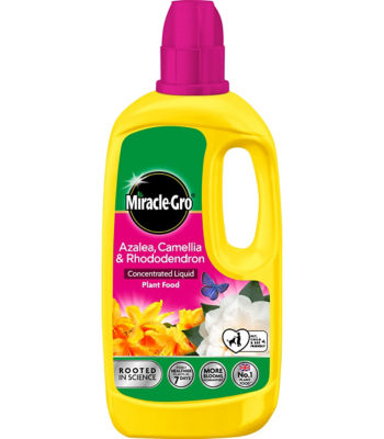 Miracle-Gro azalea camellia rhododendron plant food 800ml, imported from the UK