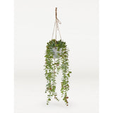 George Home Faux Trailing Eucalyptus Indoor Planter 54cm