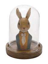 Widdop Brown Suited Bunny Glass Dome Figurine Home Ornament 14cm Height