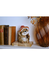 Widdop Brown Large Hedgehog In A Toadstool Hat