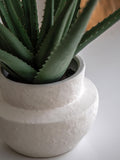 Gallery Home Faux Aloe Vera Ceramic Pot 51cm, UK version