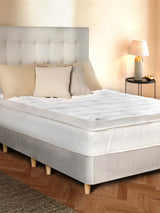 Sealy Deeply Full Mattress Topper