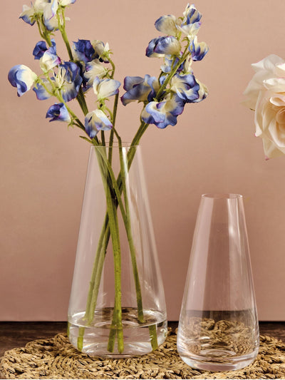 Anton Studio Designs Clear Small York Glass Vase ONE