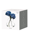 Anton Studio Designs Clear Eclipse glass vase Size ONE - British product