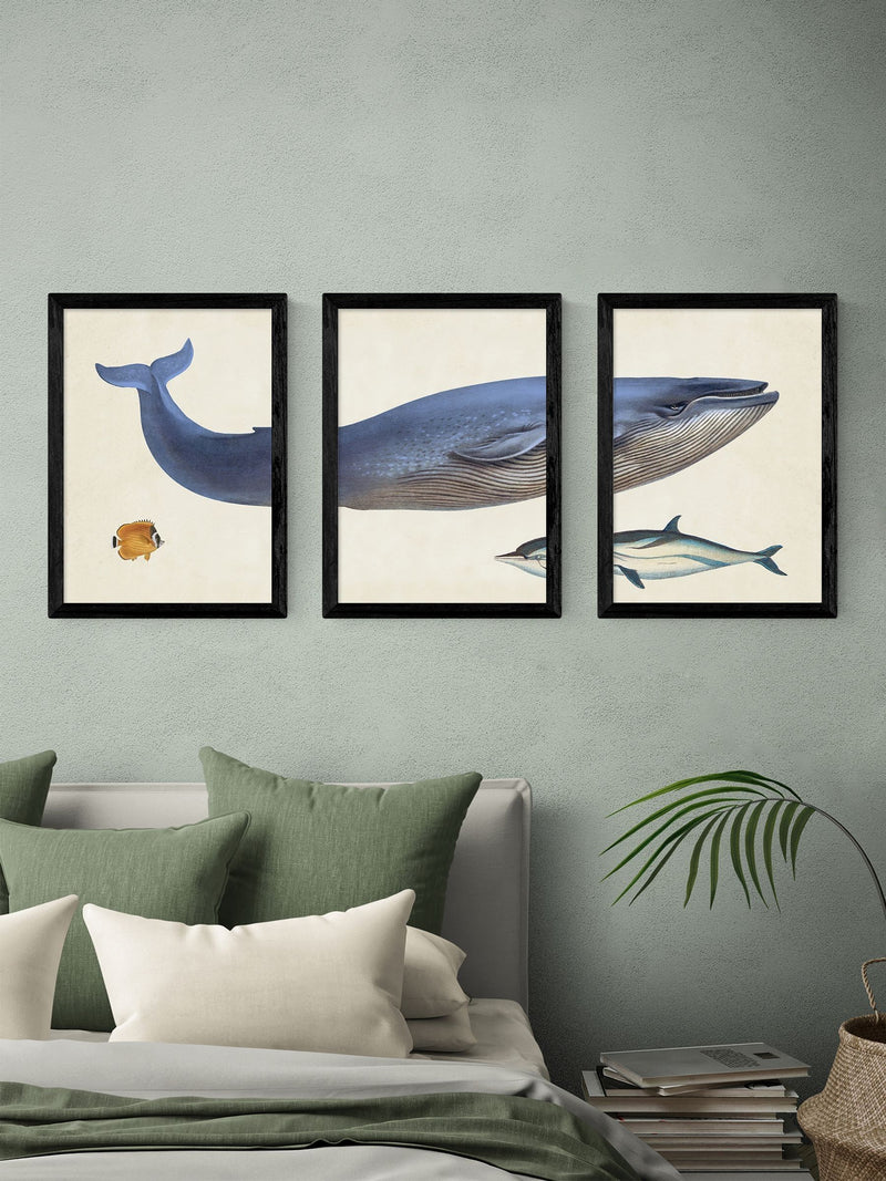 East End Prints black whale wall art prints set of 3 - British product
