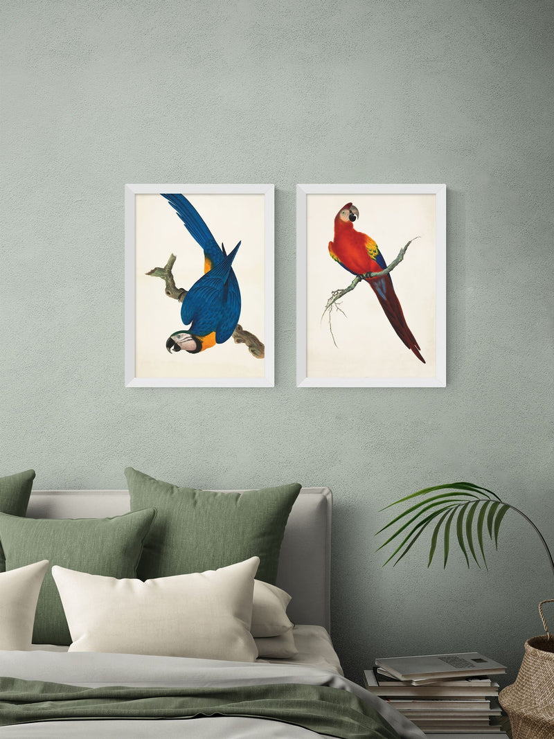 East End Prints white parrots wall art print - British product
