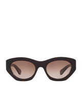Chloé Acetate CH0220S Sunglasses