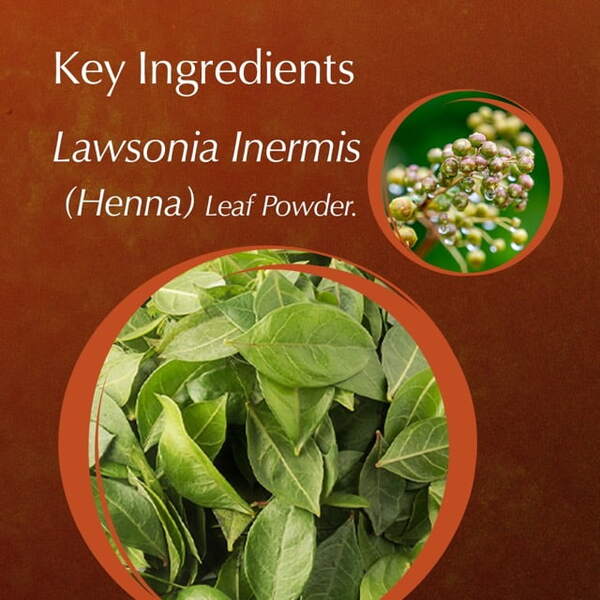 Ayumi Pure Henna Powder 100g - British product