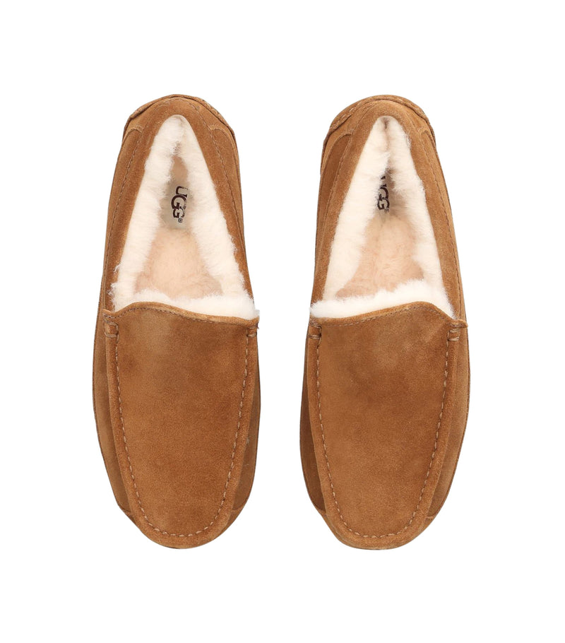 UGG Suede Ascot slippers (British brand)