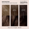 Clairol Permanent Hair Dye Kit 6.0 Light Brown - British product