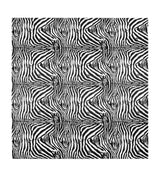 Dolce&Gabbana Casa Cotton Zebra King Fitted Sheet (300cm x 300cm)