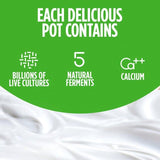 Activia Mango Strawberry Kiwi & Apricot Multipack Fruit Yoghurt 8 x 115g - McGrocer