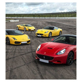 Activity Superstore Double Lamborghini or Double Ferrari Driving Experience - McGrocer