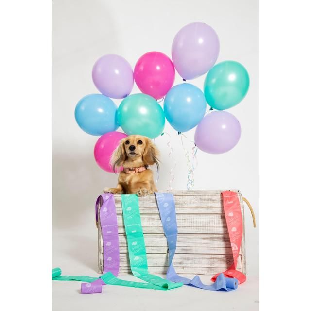 Adios Compostable Dog Poo Bags - Rainbow 60 per pack - McGrocer