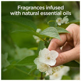 Airwick Fresh Grapefruit & Orange Blossom Air Spray 237ml - McGrocer