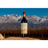 Alamos Malbec 75cl - McGrocer