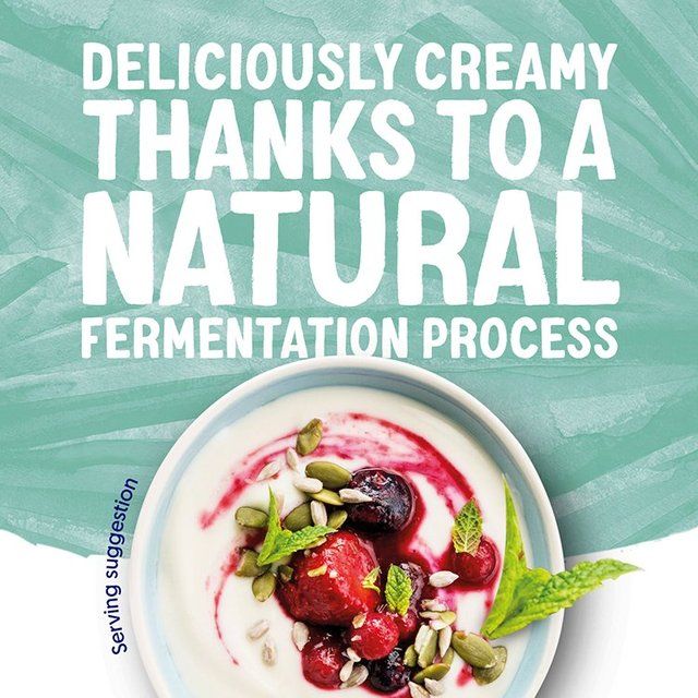 Alpro Plain With Coconut Yoghurt Alternative 500g - McGrocer