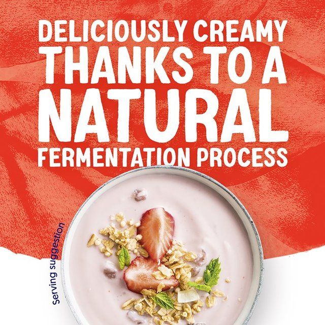 Alpro Strawberry Yoghurt Alternative 500g - McGrocer