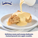 Ambrosia Devon Custard 400g - McGrocer